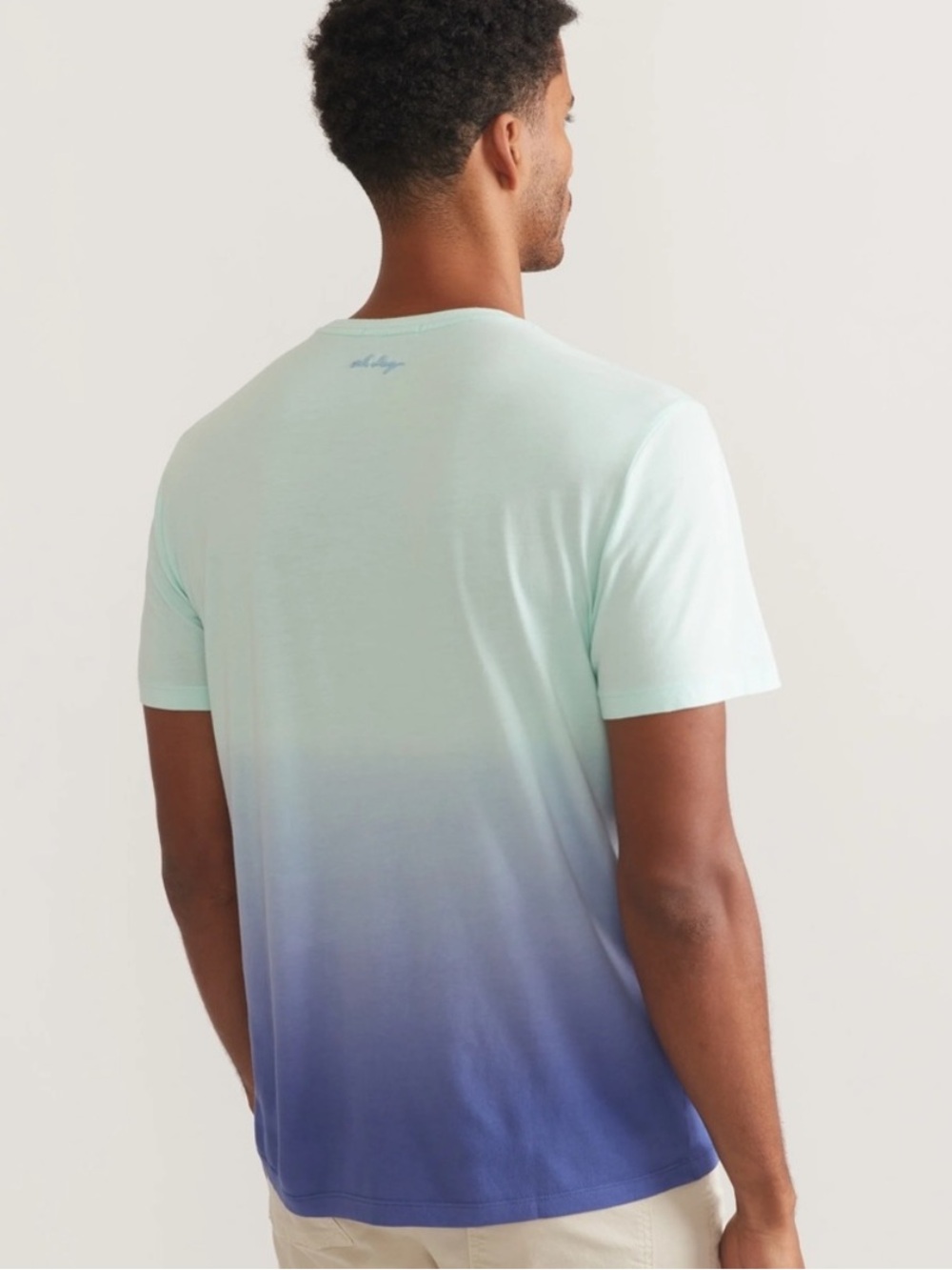 Marine Layer Ombre Short Sleeve Tee - Picture 2 of 10